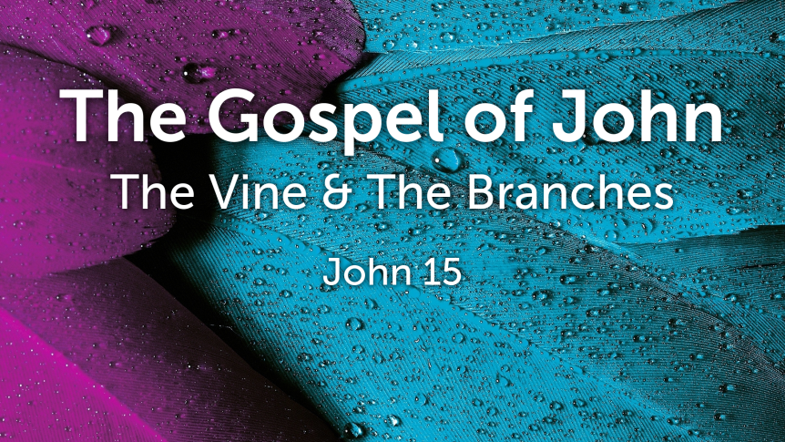 The Gospel of John: The Vine and The Branches (15:1-27)